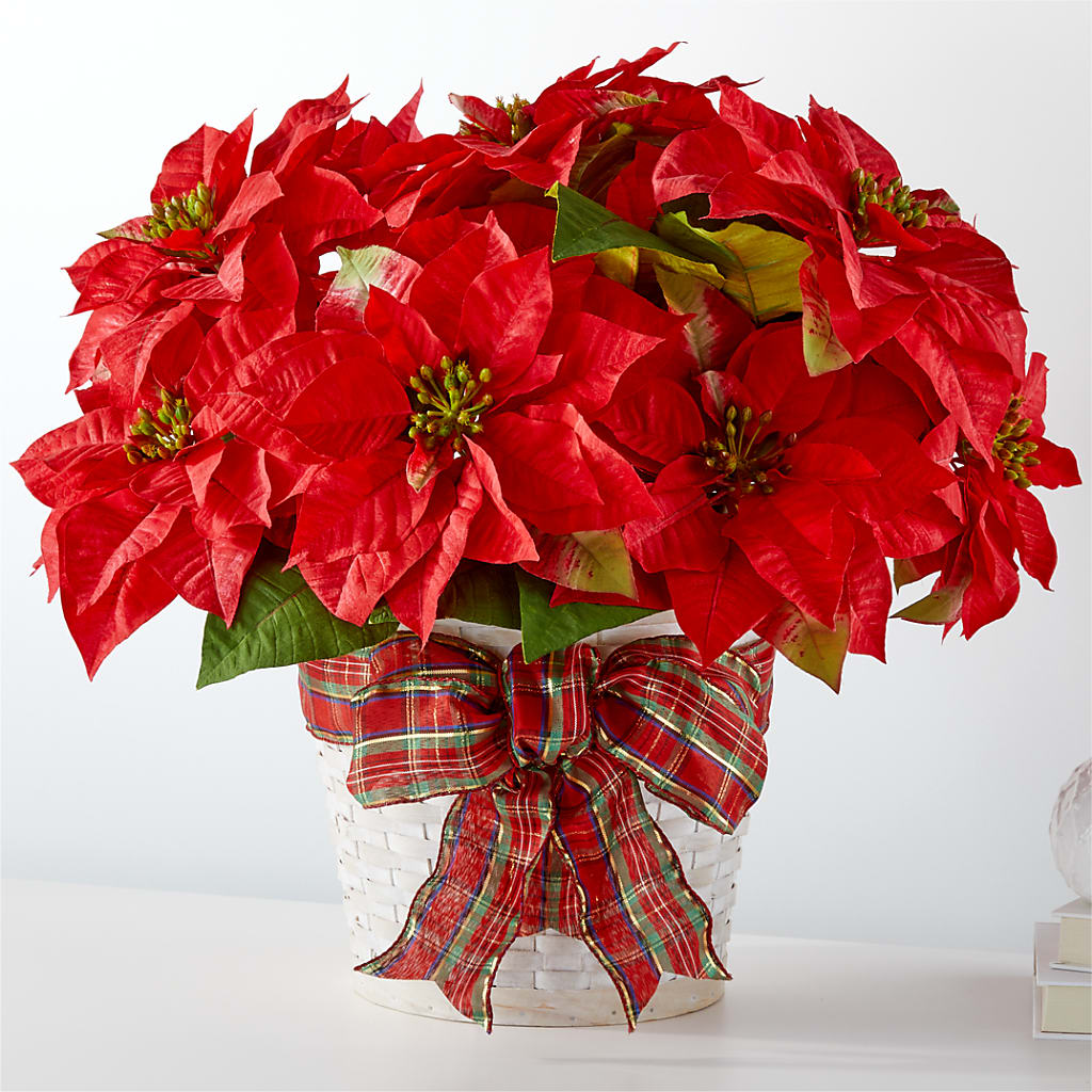 Happiest Holidays Poinsettia – Blooms And Gifts, Concord CA