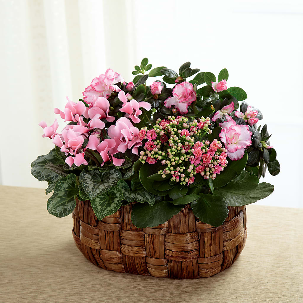 Pink Assortment – Blooms And Gifts, Concord CA