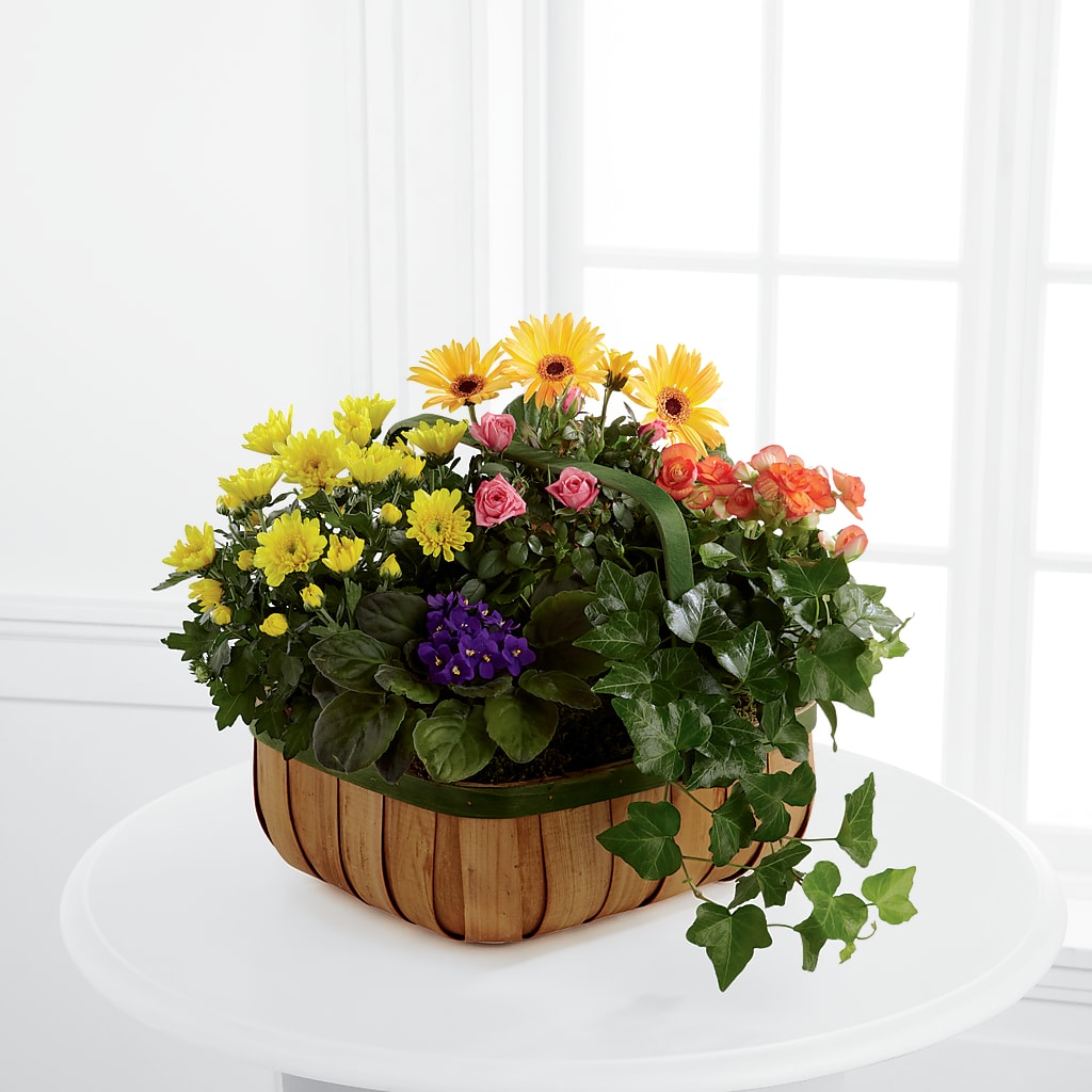 Gentle Blossoms Basket – Blooms And Gifts, Concord CA