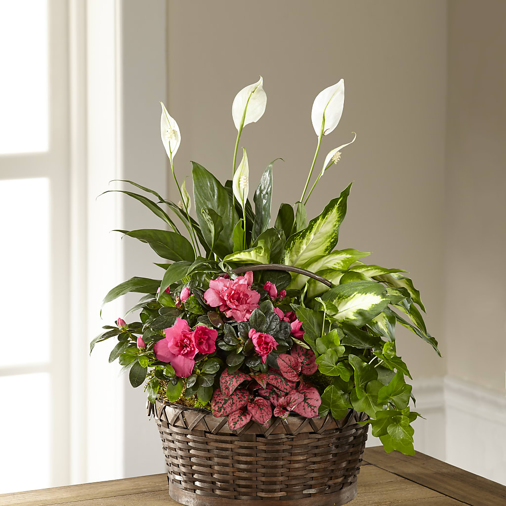 Dream in Pink Dishgarden – Blooms And Gifts, Concord CA