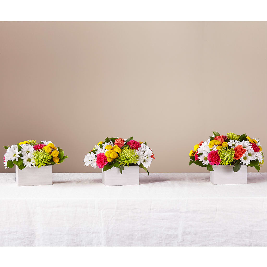 Sorbet Bouquet – Blooms And Gifts, Concord CA