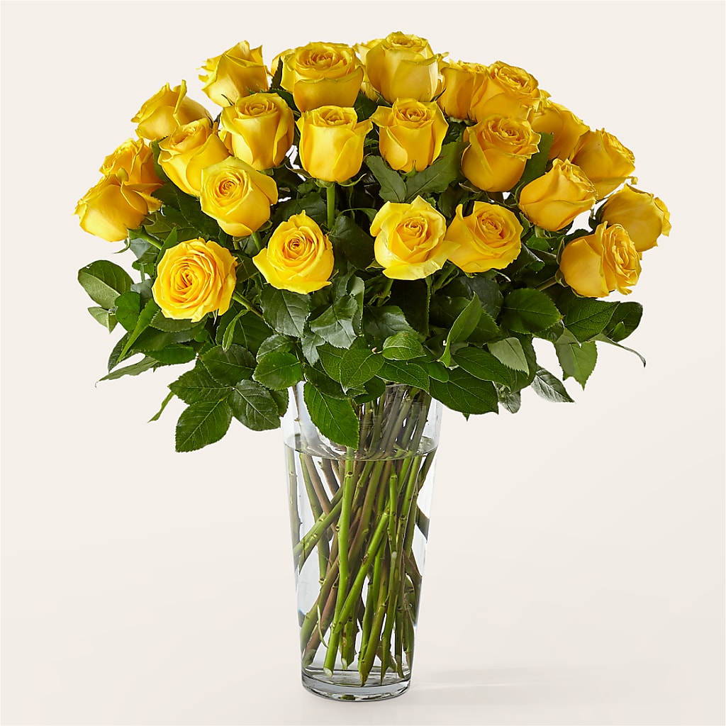 Long Stem Yellow Rose Bouquet – Blooms And Gifts, Concord CA