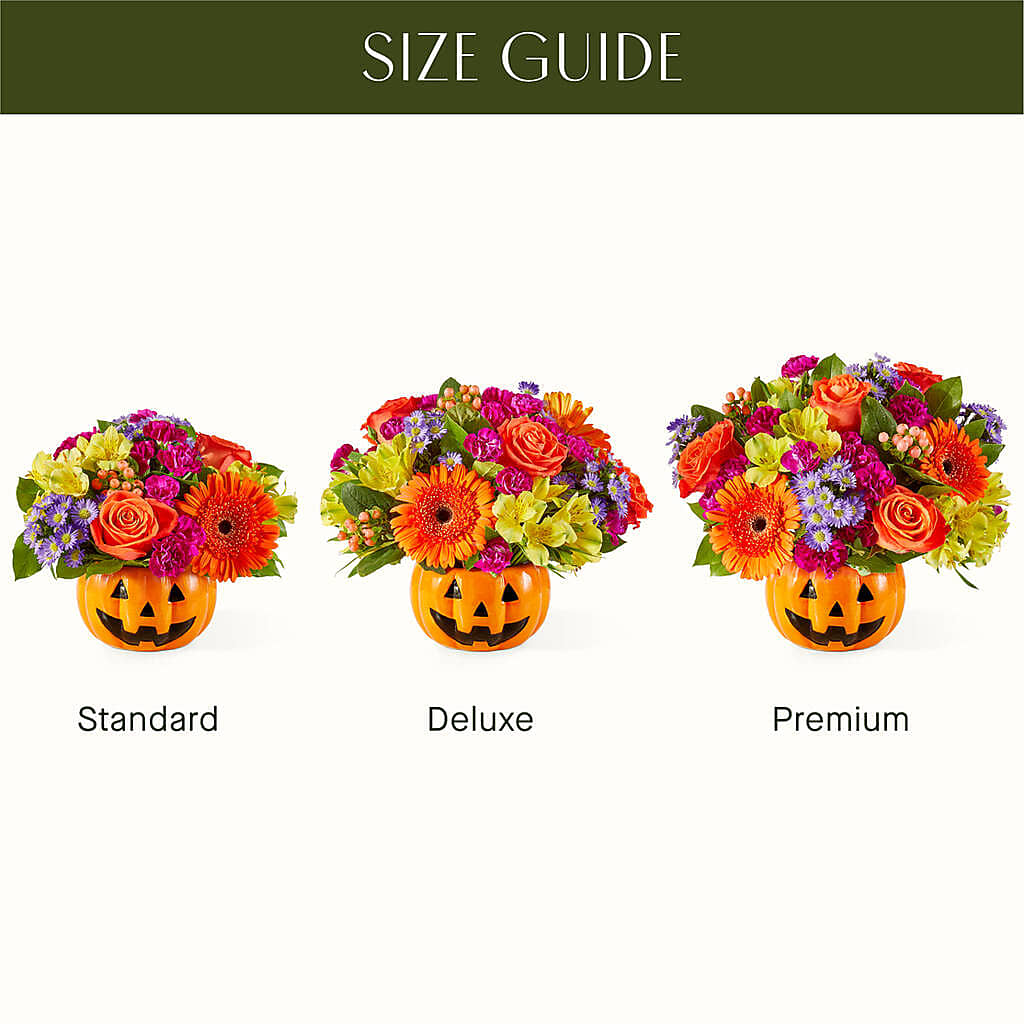 Tricks & Treats Pumpkin – Blooms And Gifts, Concord CA