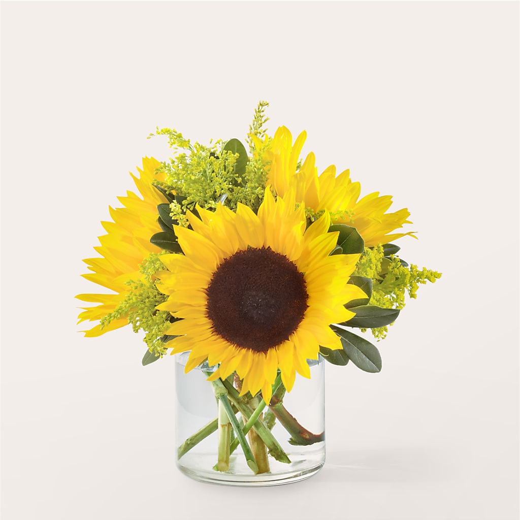 Beaming Sunflower Bouquet – Blooms And Gifts, Concord CA
