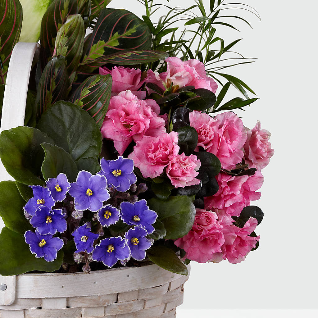 Peaceful Garden Planter – Blooms And Gifts, Concord CA
