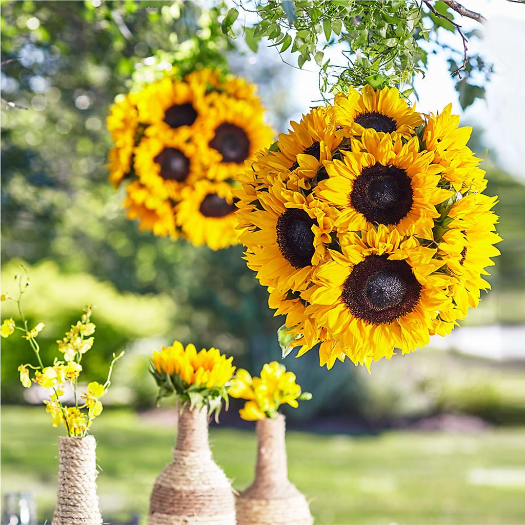 Sublime Garden Hanging Arrangement – Blooms And Gifts, Concord CA