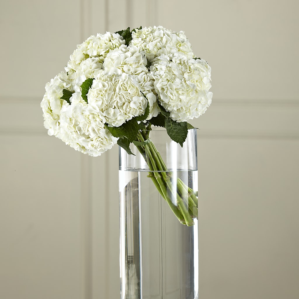 White Hydrangea Hand-Tied Bouquet – Blooms And Gifts, Concord CA