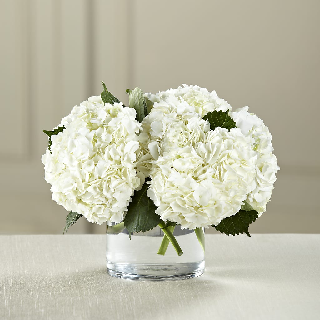 White Hydrangea Bouquet – Blooms And Gifts, Concord CA