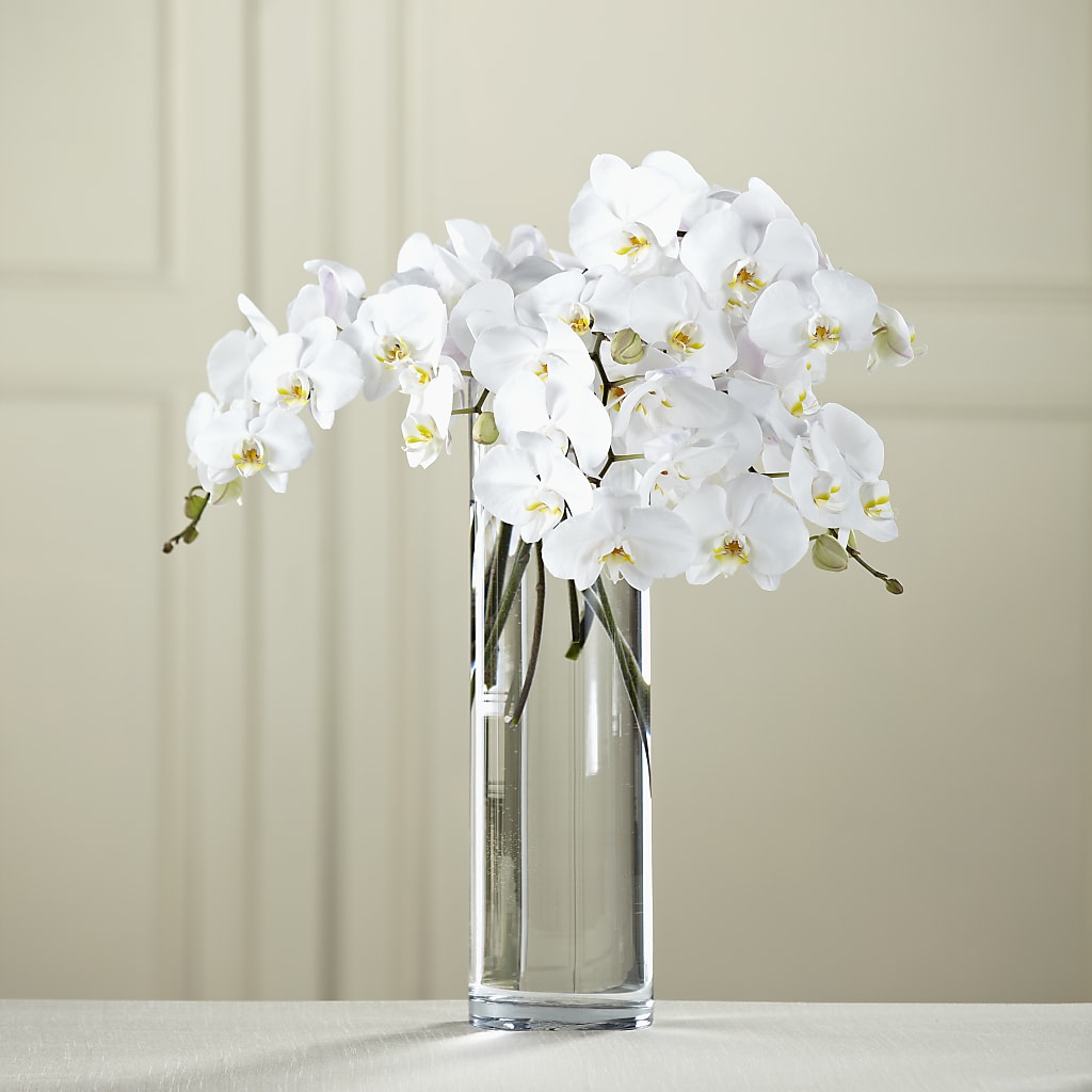 White Phalaenopsis Bouquet – Blooms And Gifts, Concord CA