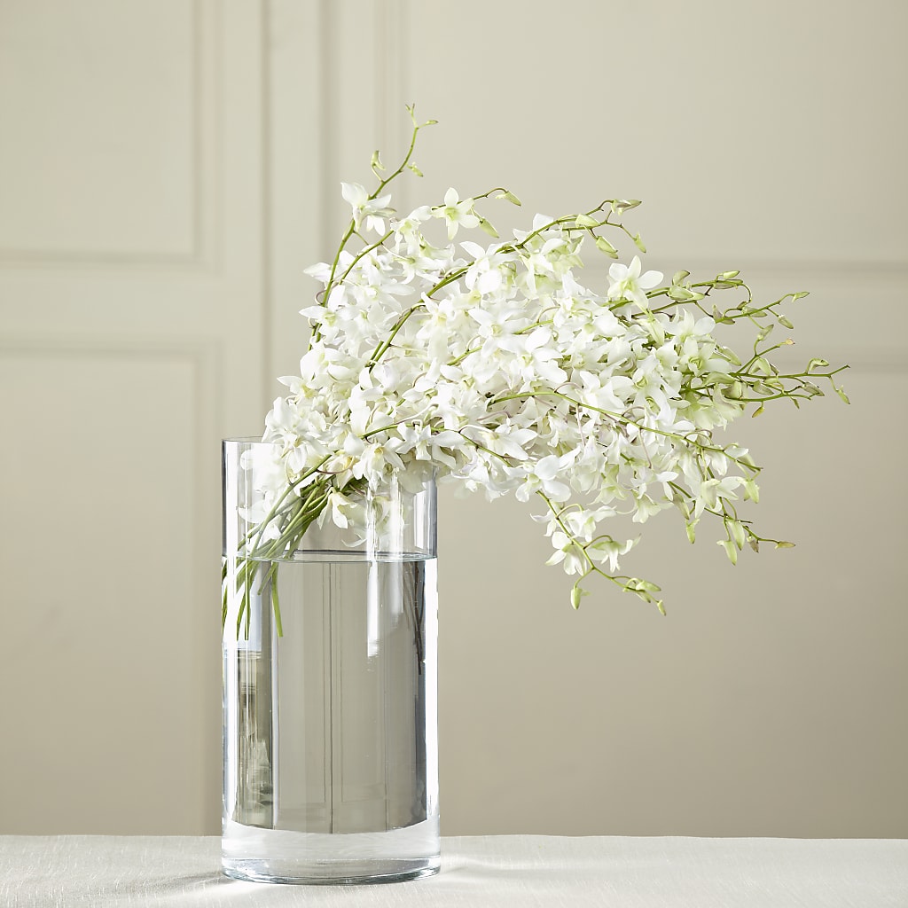 White Dendrobium Bouquet – Blooms And Gifts, Concord CA