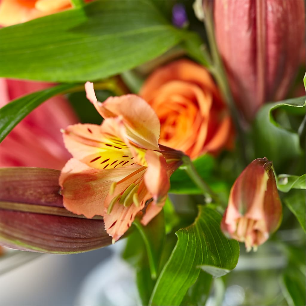 Bold & Bright – A Florist Original –  Blooms And Gifts, Concord CA