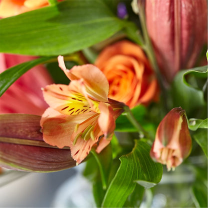 Bold & Bright – A Florist Original –  Blooms And Gifts, Concord CA