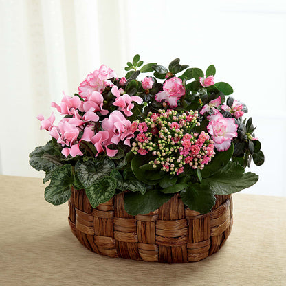 Pink Assortment –  Blooms And Gifts, Concord CA
