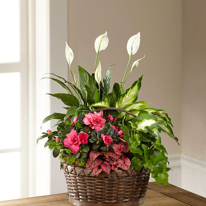 Dream in Pink Dishgarden –  Blooms And Gifts, Concord CA