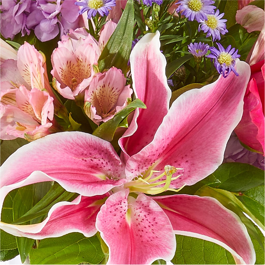 Written in the Stars Bouquet –  Blooms And Gifts, Concord CA