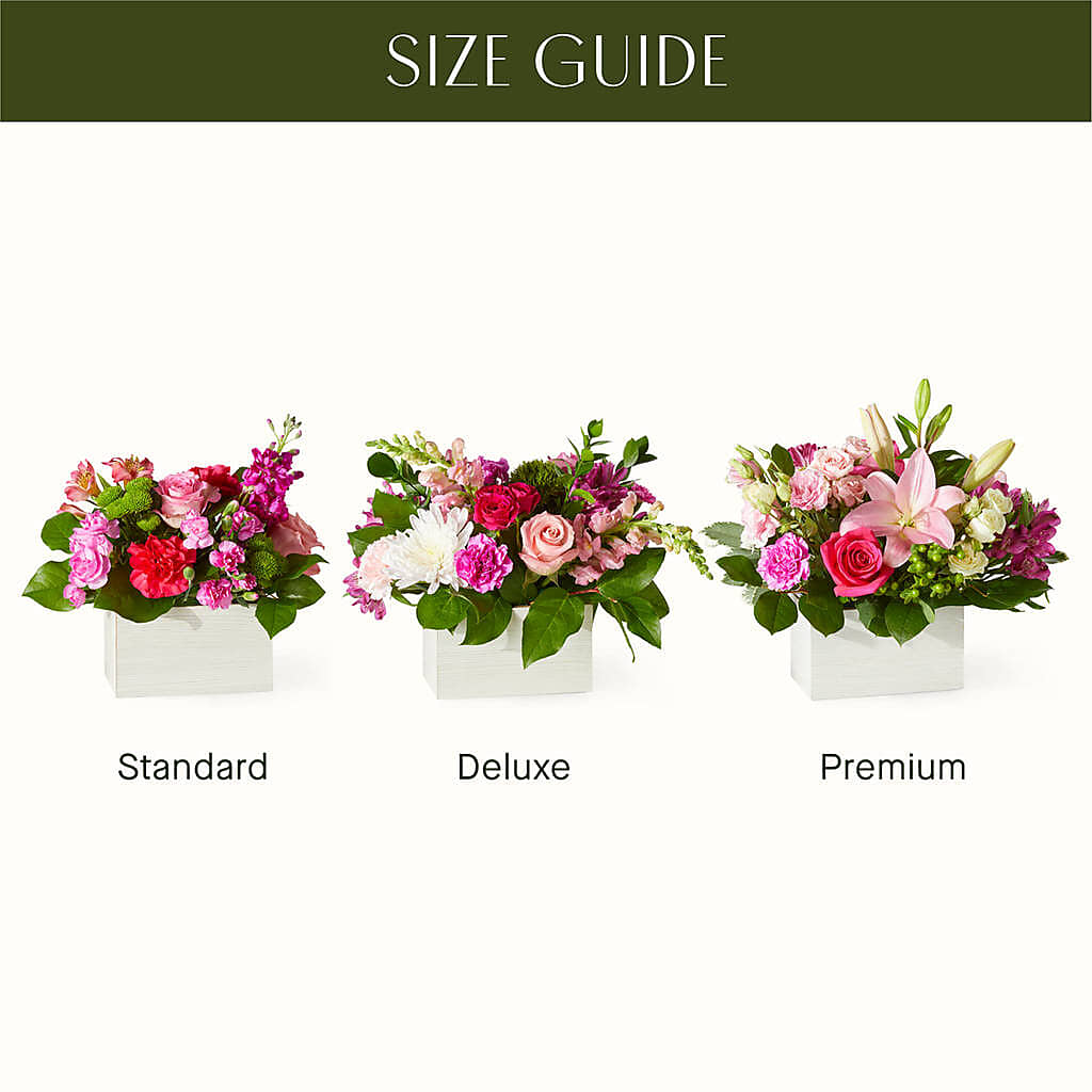 Sweetberry Box – A Florist Original –  Blooms And Gifts, Concord CA