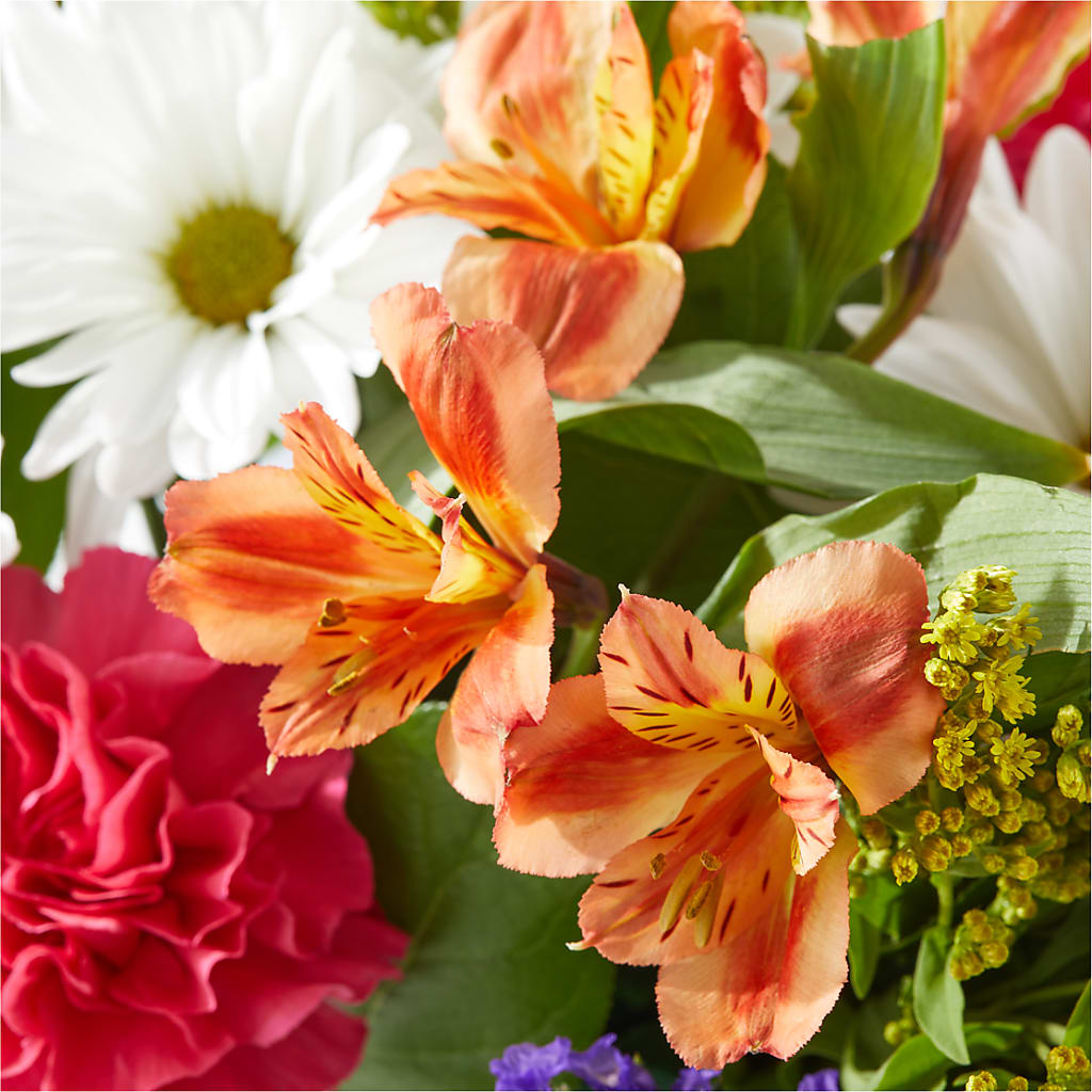 Oopsie Daisy Box Bouquet –  Blooms And Gifts, Concord CA