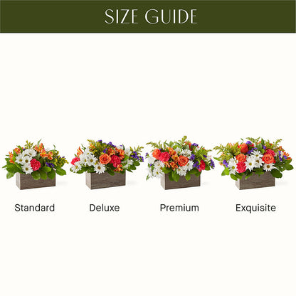 Oopsie Daisy Box Bouquet –  Blooms And Gifts, Concord CA