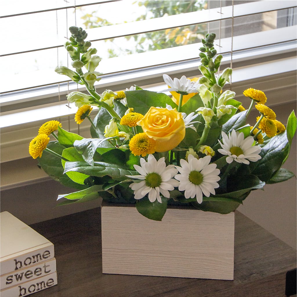 Sun Salutation Box Bouquet –  Blooms And Gifts, Concord CA