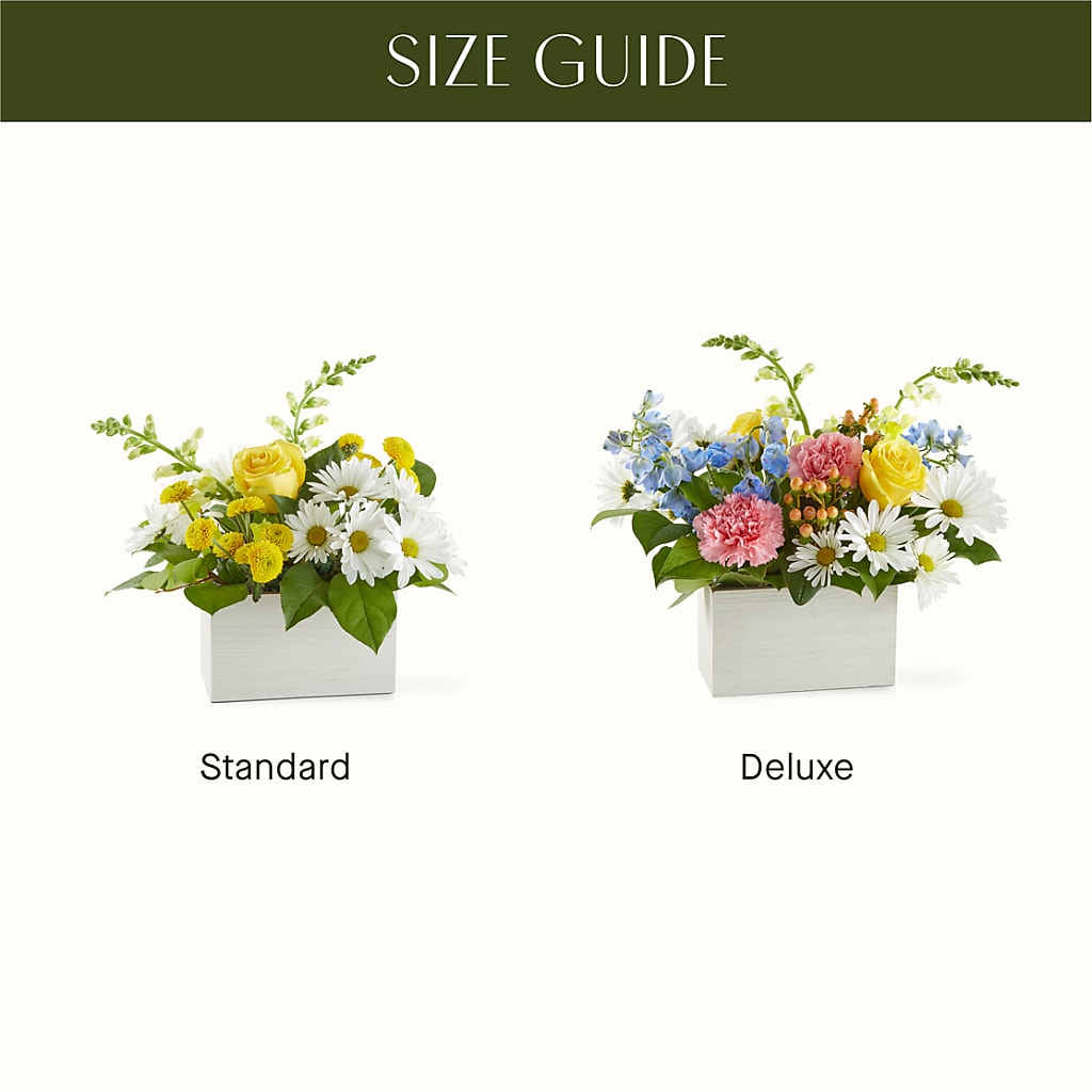 Sun Salutation Box Bouquet –  Blooms And Gifts, Concord CA