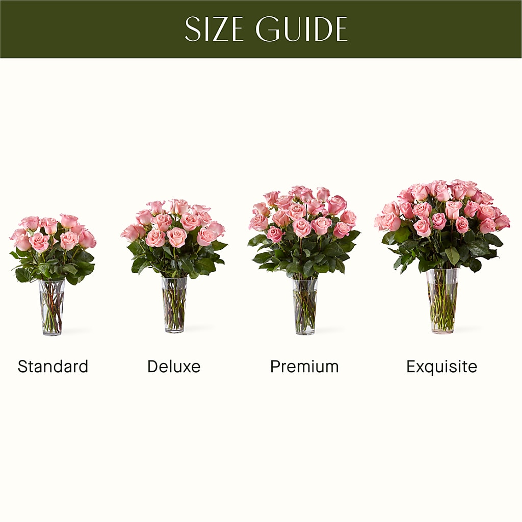 Long Stem Pink Rose Bouquet –  Blooms And Gifts, Concord CA