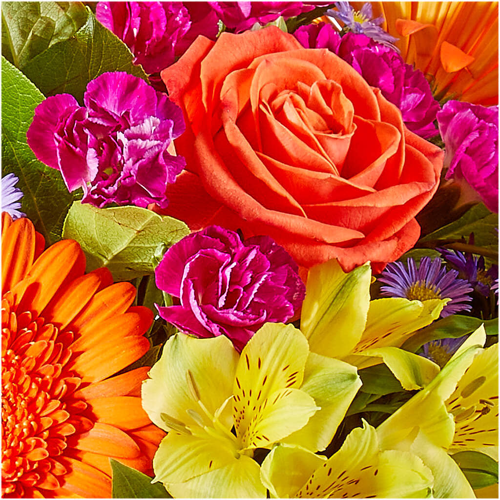 Tricks & Treats Pumpkin –  Blooms And Gifts, Concord CA