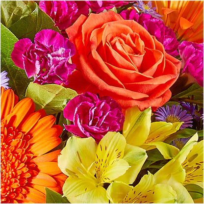 Tricks & Treats Pumpkin –  Blooms And Gifts, Concord CA