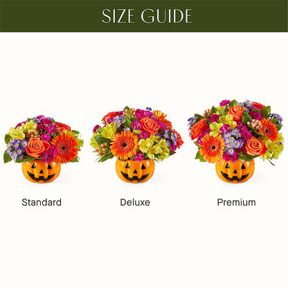 Tricks & Treats Pumpkin –  Blooms And Gifts, Concord CA