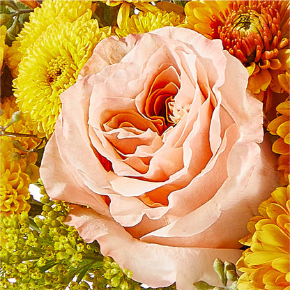 Peachy Pumpkin –  Blooms And Gifts, Concord CA