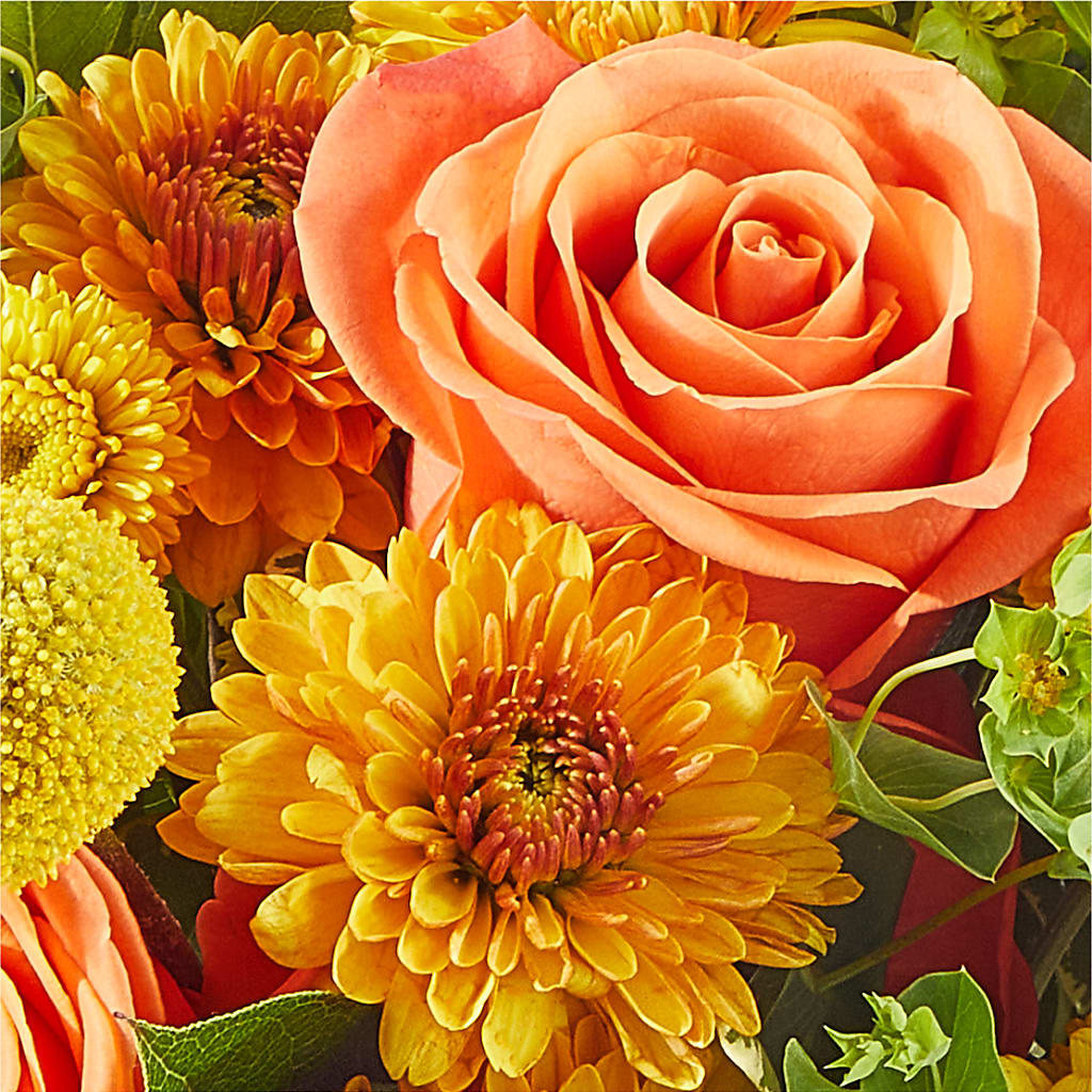 Gourdgeous Pumpkin –  Blooms And Gifts, Concord CA