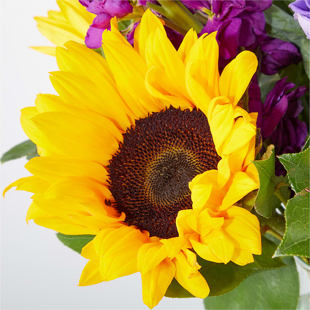 Catching Rays Bouquet –  Blooms And Gifts, Concord CA