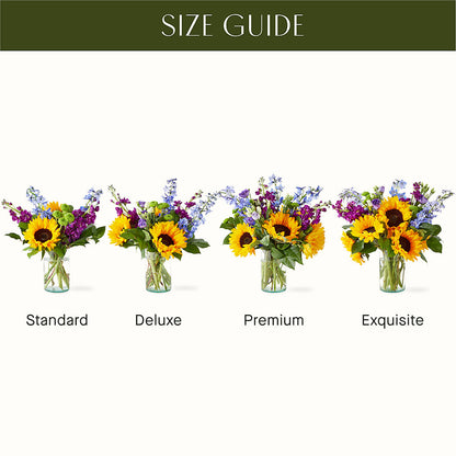 Catching Rays Bouquet –  Blooms And Gifts, Concord CA