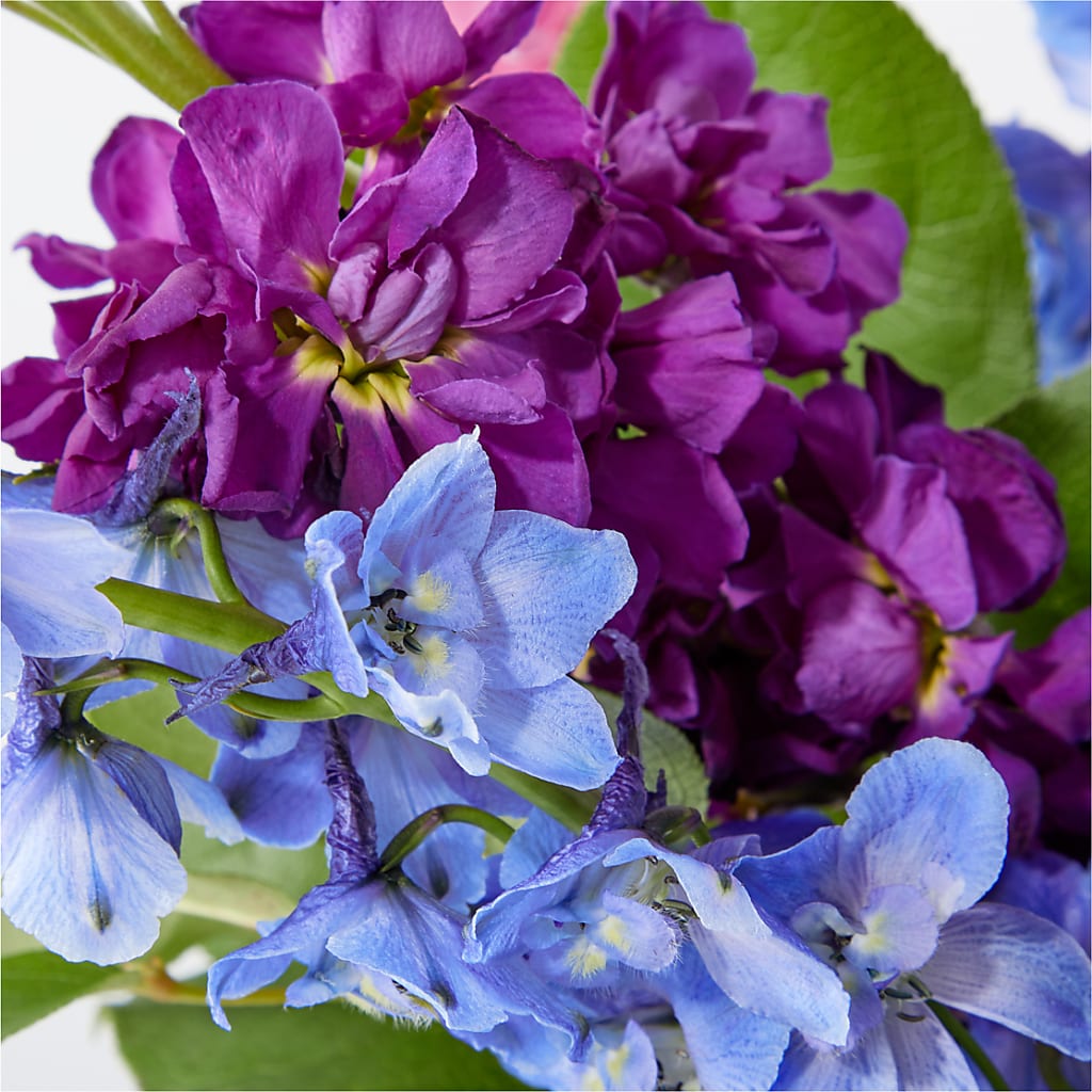 Twilight Glow Bouquet –  Blooms And Gifts, Concord CA