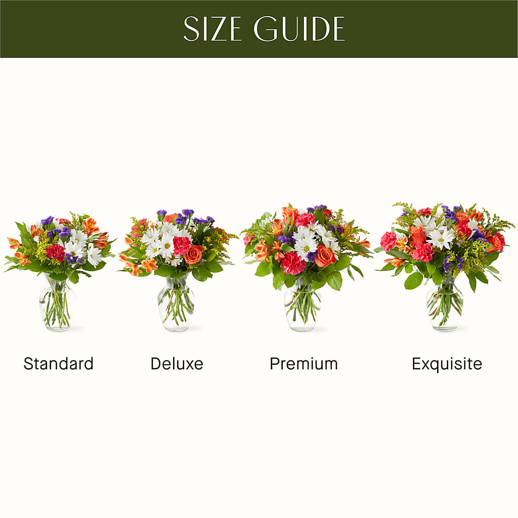 Oopsie Daisy Bouquet –  Blooms And Gifts, Concord CA