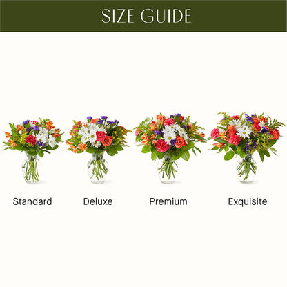 Oopsie Daisy Bouquet –  Blooms And Gifts, Concord CA