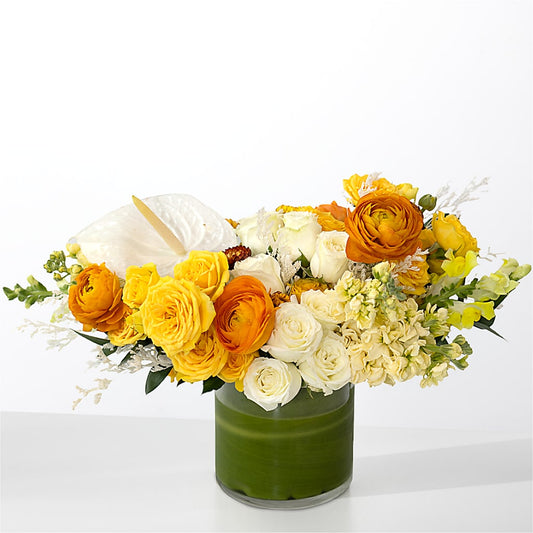The Optimist –  Blooms And Gifts, Concord CA
