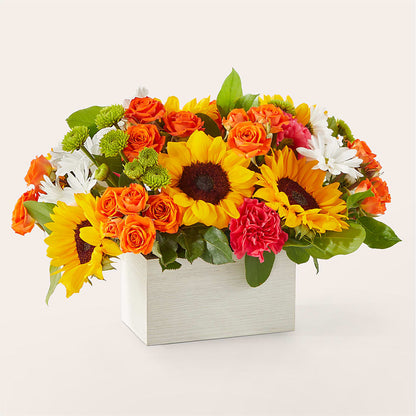 Sun-drenched Blooms Box Bouquet –  Blooms And Gifts, Concord CA