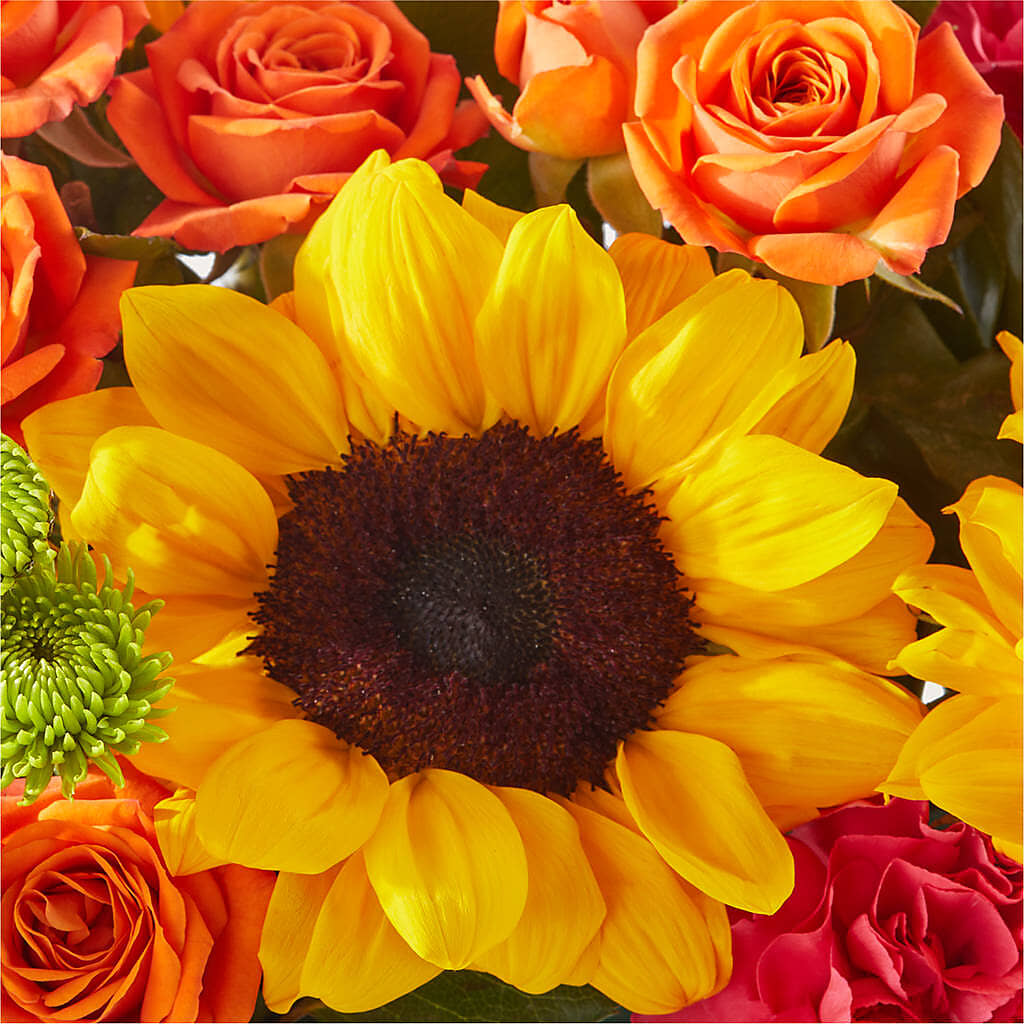 Sun-drenched Blooms Box Bouquet –  Blooms And Gifts, Concord CA