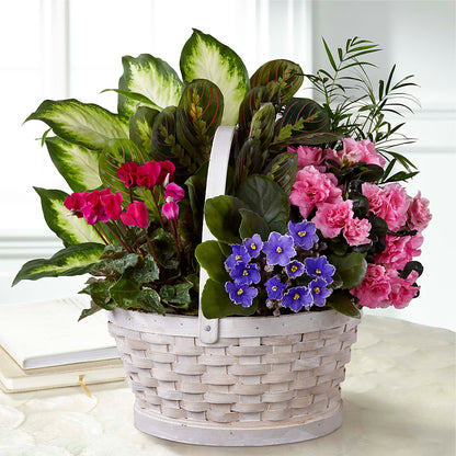 Peaceful Garden Planter –  Blooms And Gifts, Concord CA