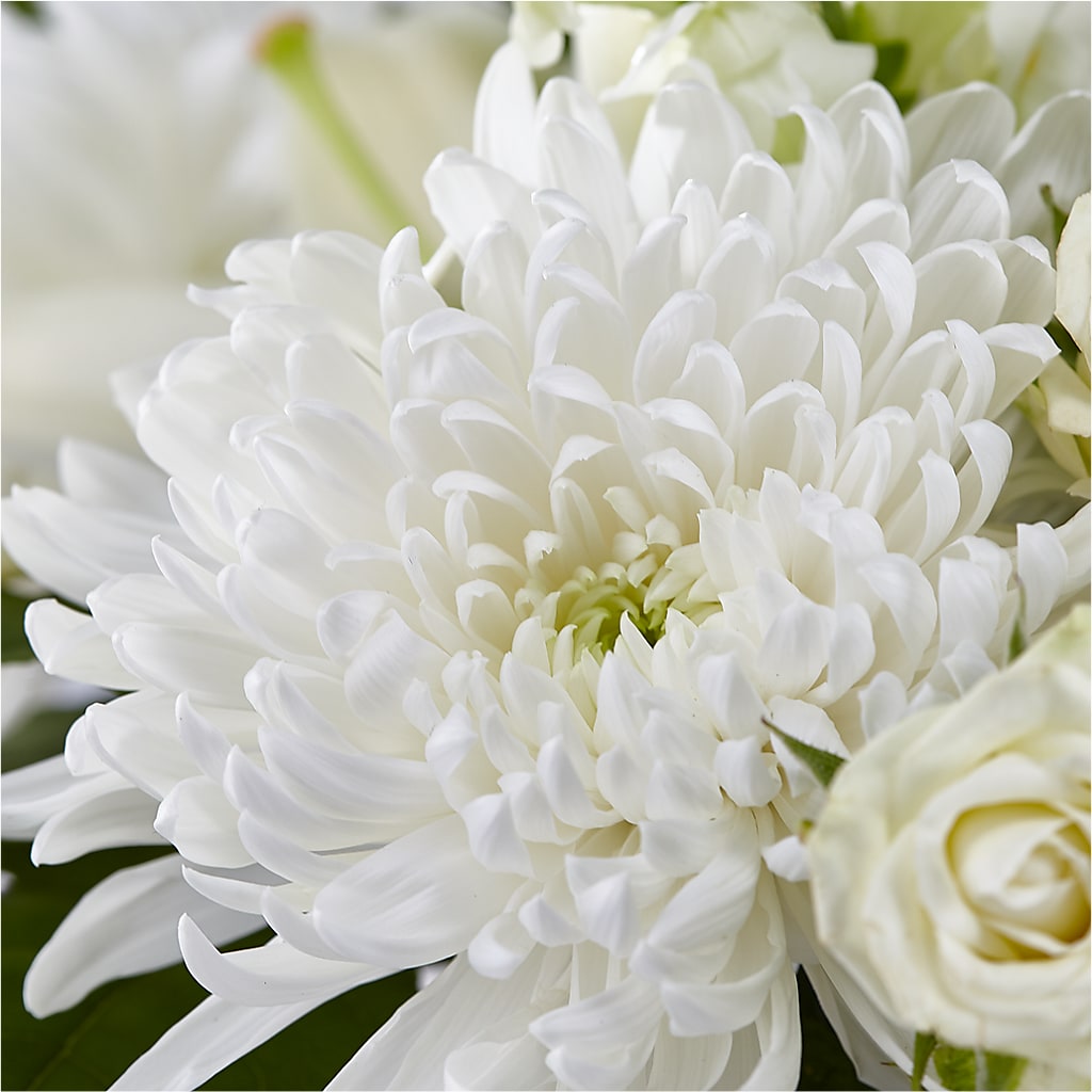 Classic Ivory – A Florist Original –  Blooms And Gifts, Concord CA