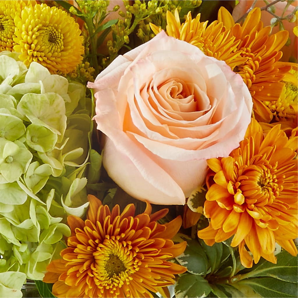 Fall Foliage Bouquet –  Blooms And Gifts, Concord CA
