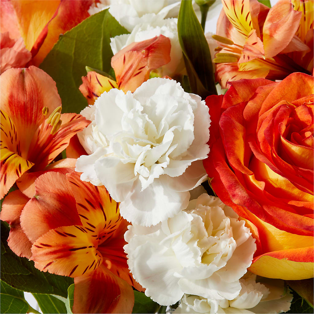 Apricot Glow Bouquet –  Blooms And Gifts, Concord CA