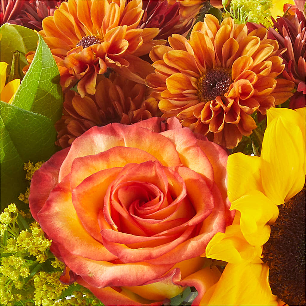 Flannel Scarf Bouquet –  Blooms And Gifts, Concord CA