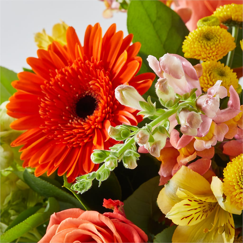 Autumn Sunshine Bouquet –  Blooms And Gifts, Concord CA