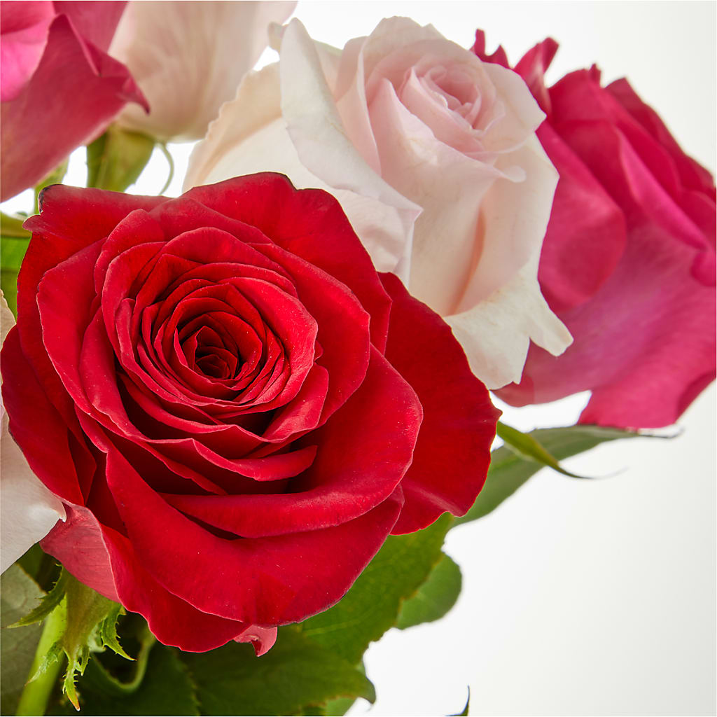 Charming Rose Bouquet –  Blooms And Gifts, Concord CA