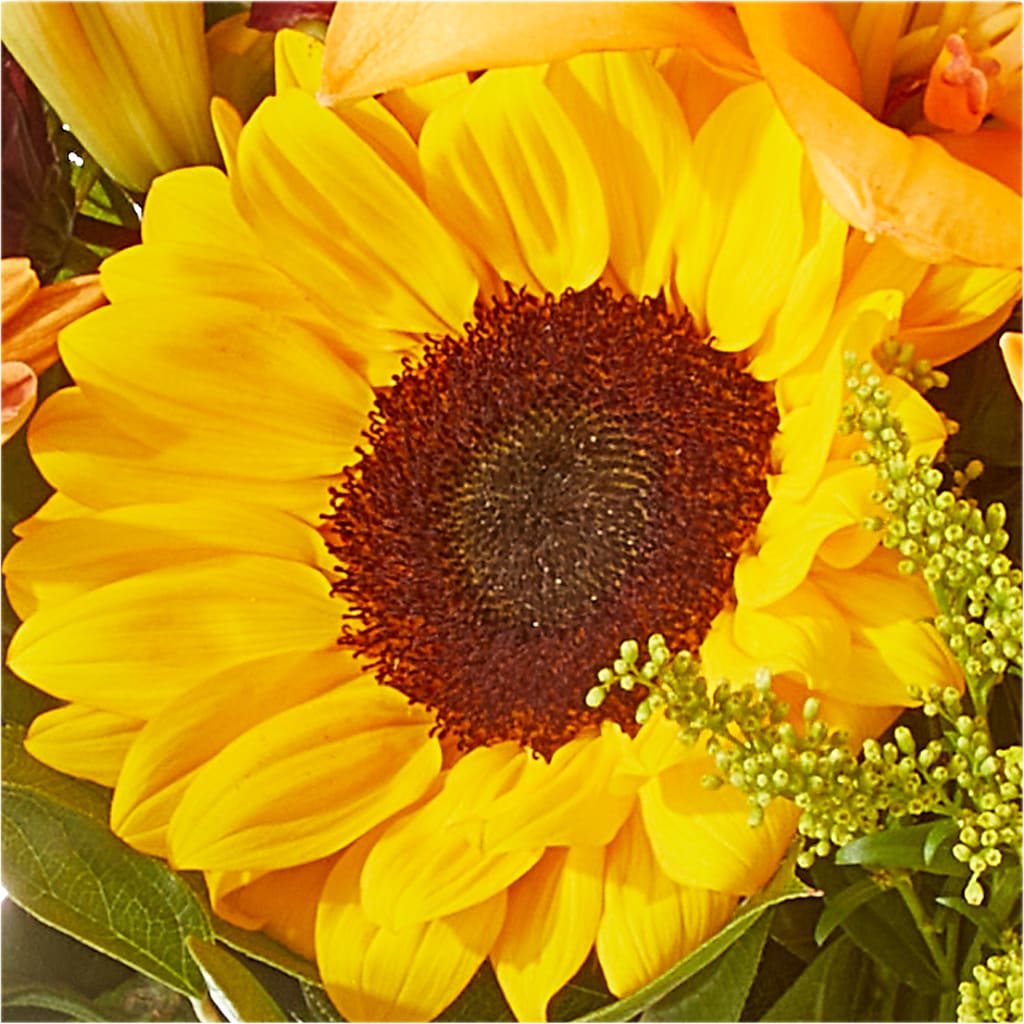 Seasons Change Bouquet –  Blooms And Gifts, Concord CA