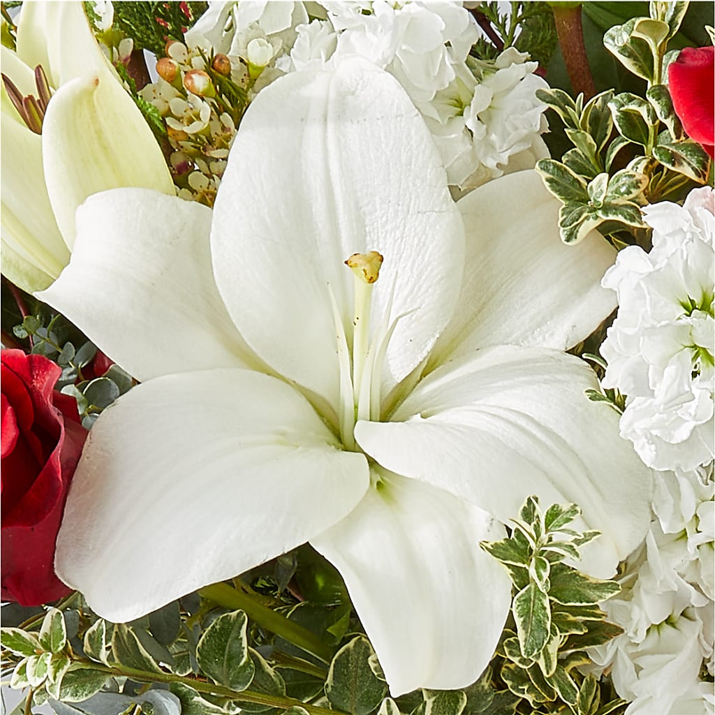 Twinkle Lights Bouquet –  Blooms And Gifts, Concord CA