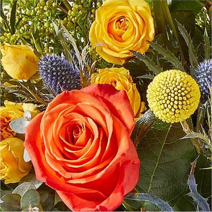 Disco Bouquet –  Blooms And Gifts, Concord CA