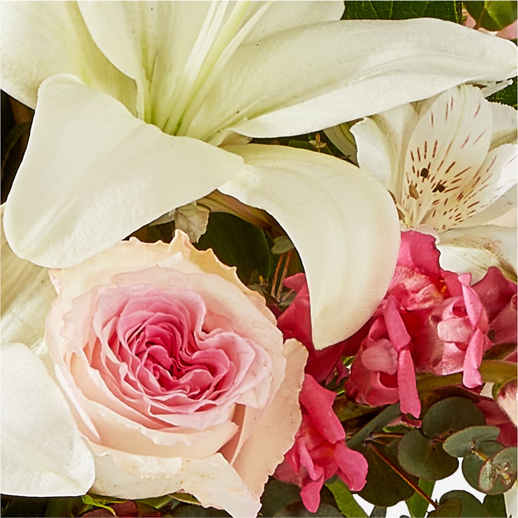 Ballet Slippers Bouquet –  Blooms And Gifts, Concord CA