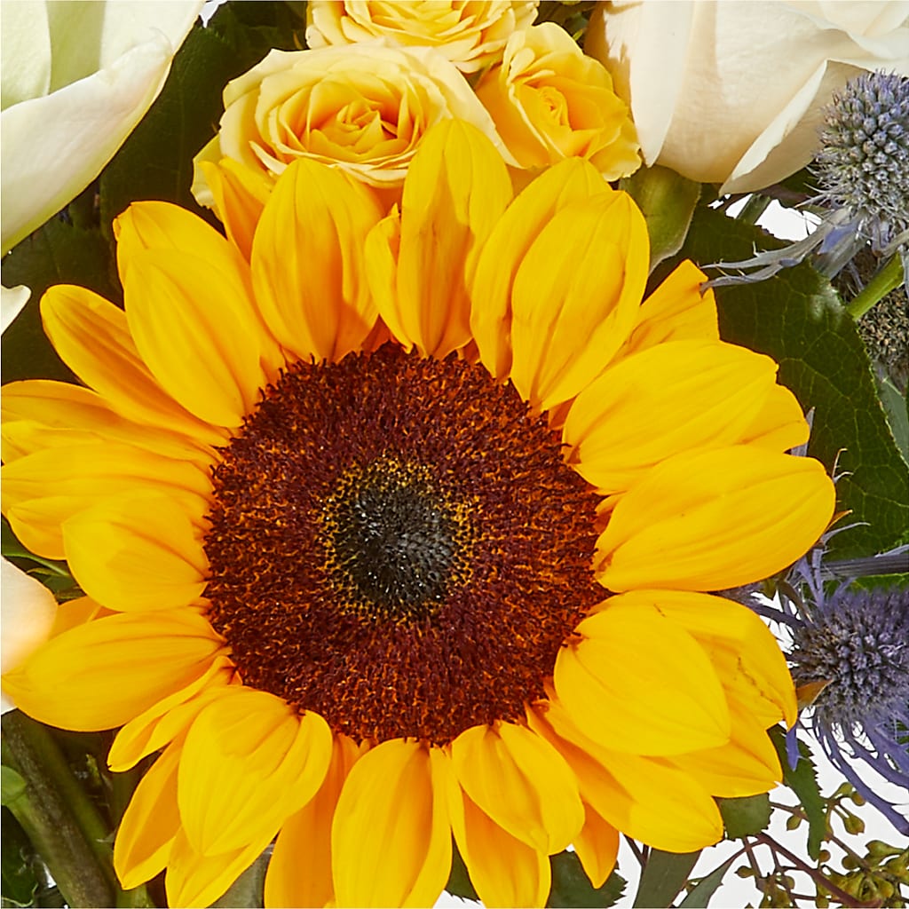 Wonderfully Sunny Bouquet –  Blooms And Gifts, Concord CA